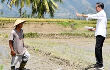 Diresmikan Jokowi, Proyek Sistem Irigasi Gumbasa Telan Dana Rp256 Miliar Bisa Mengairi Sawah 12 Desa