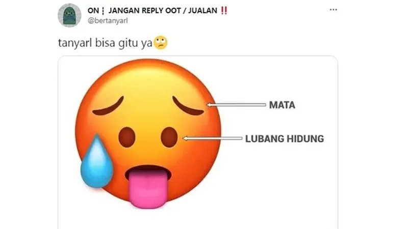 7 Editan Foto Emoji Ala Netizen Bedakan Mata dan Hidung Ini Bikin Tepuk Jidat