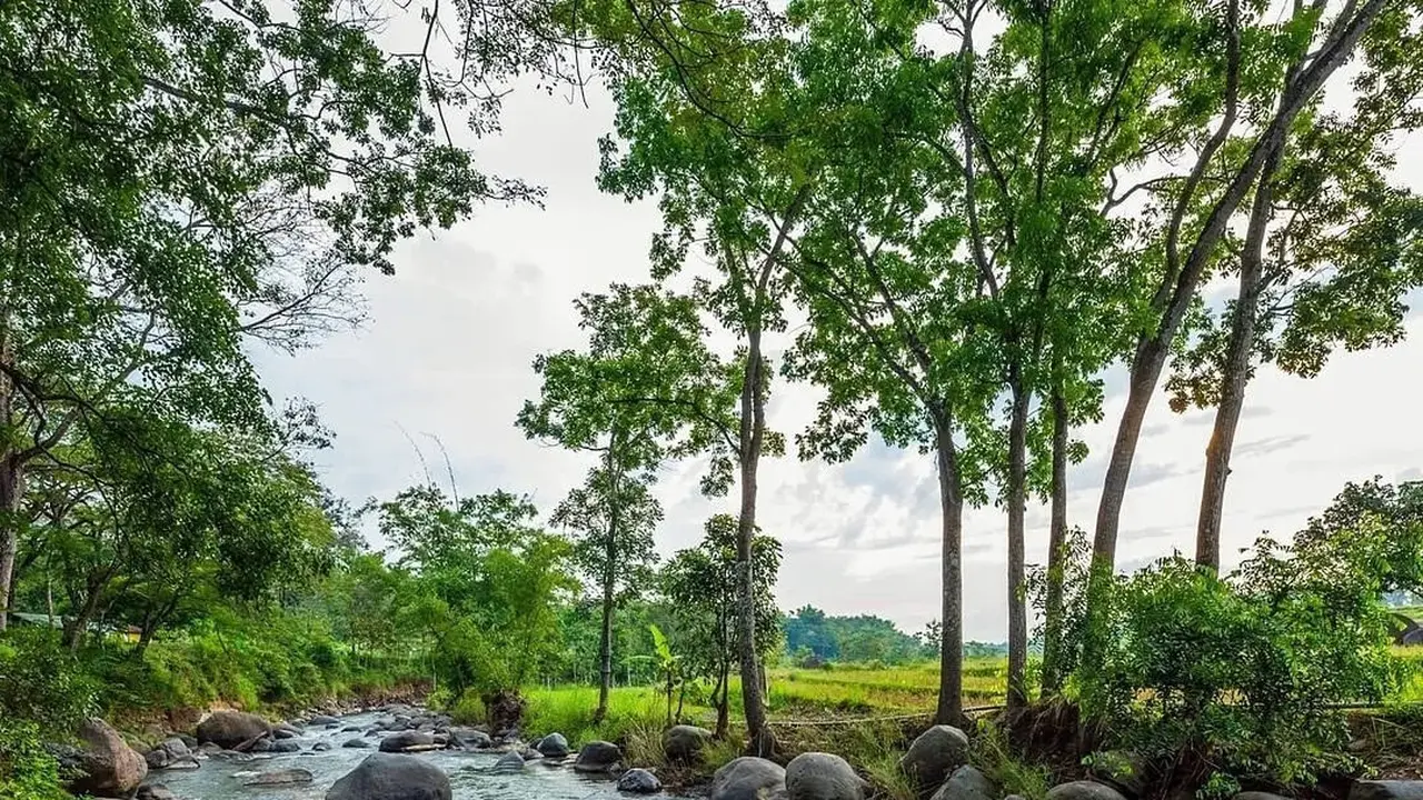 Wana Wisata Grape, Madiun