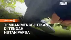 Ratusan aparat gabungan TNI–Polri membongkar sebuah kamp yang diduga menjadi basis kelompok kriminal bersenjata (KKB) di Kali Nabarua, Kabupaten Nabire, Papua Tengah.