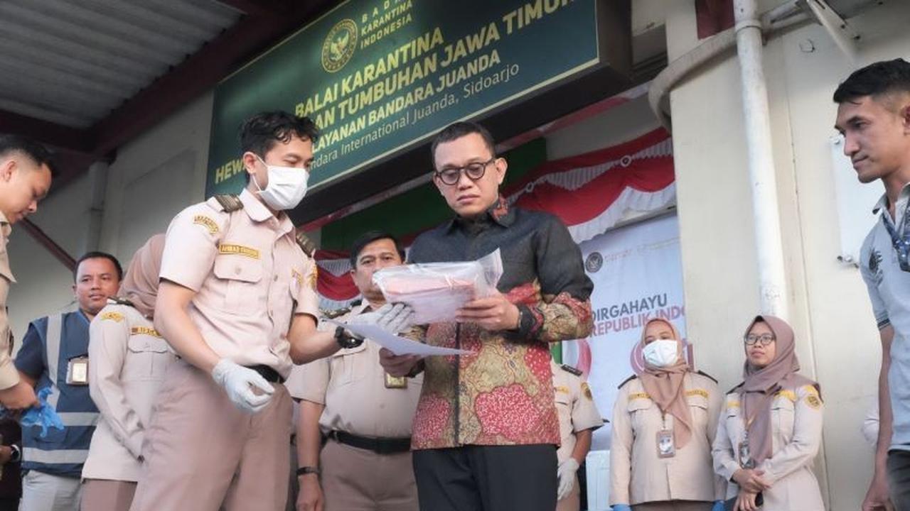 Barantin Pastikan Pelayanan Karantina Jatim Optimal, Targetkan 2.000 Kontainer Per Hari
