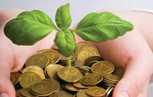 Riwayat hitam bisnis investasi bodong