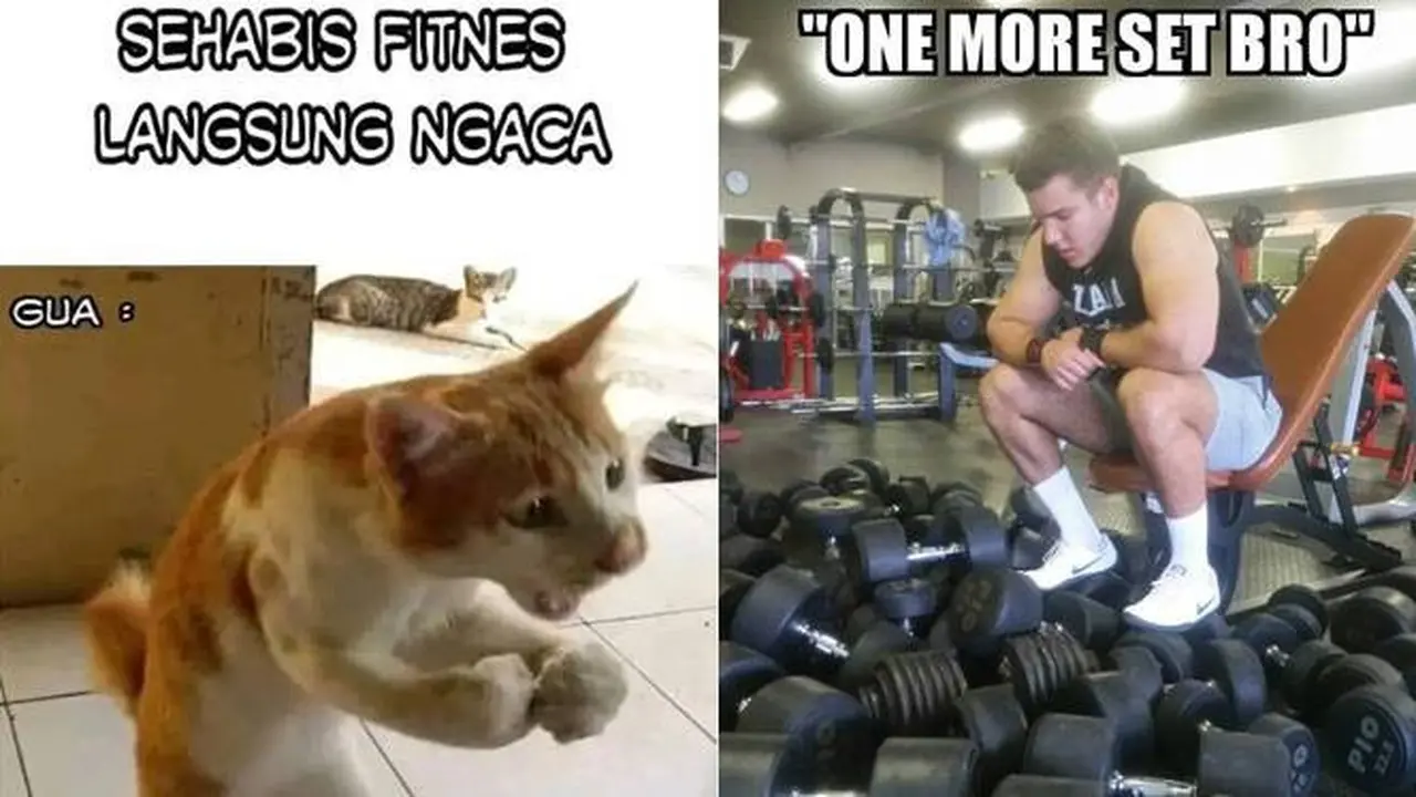 6 Meme Kocak Orang Rutin Jalani Gym Ini Bikin Tepuk Jidat