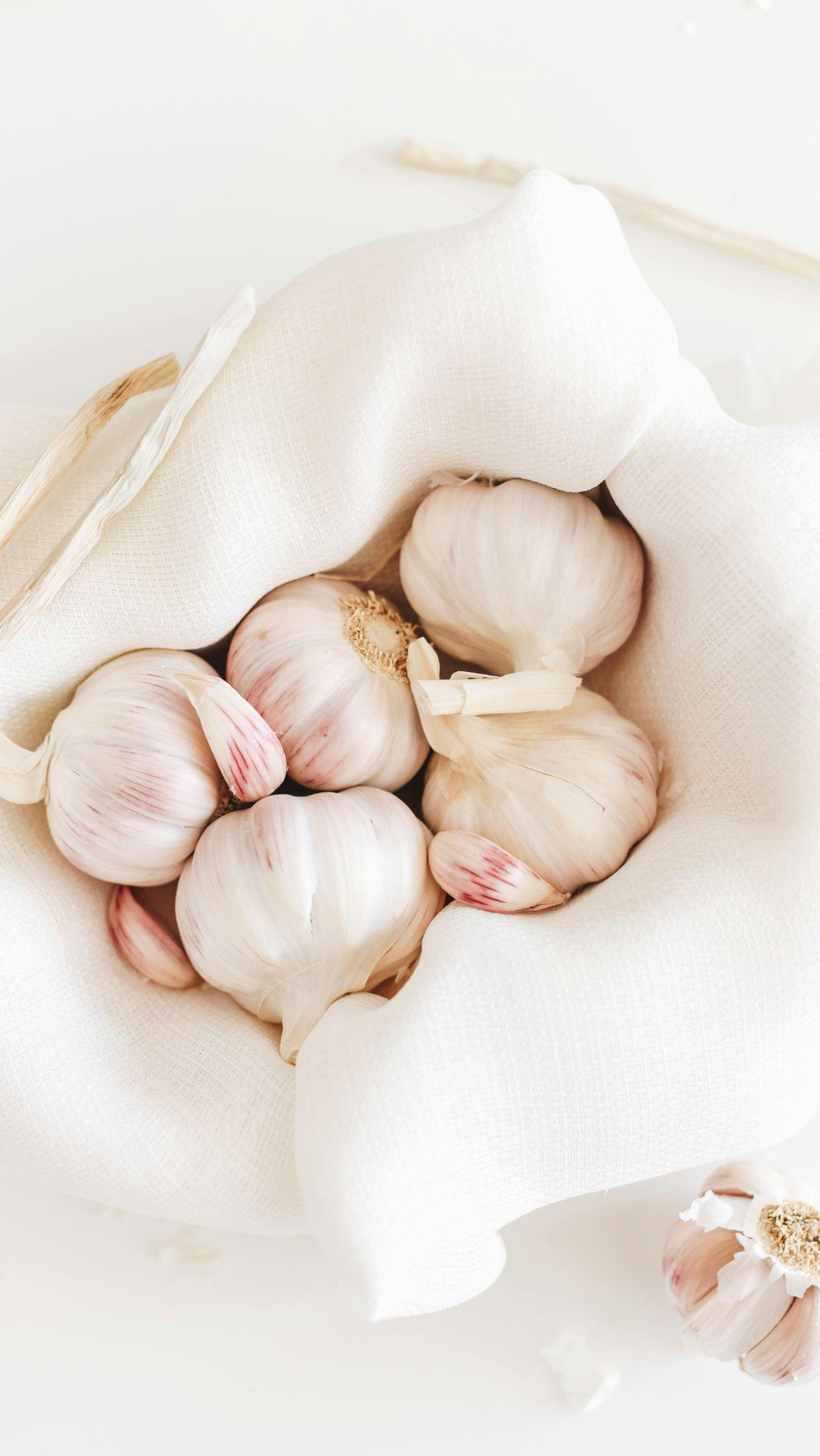 Bawang Putih