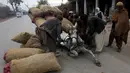 Seekor kuda terjatuh akibat kelebihan muatan, Pakistan (25/11/2015). (REUTERS / Fayaz Aziz)