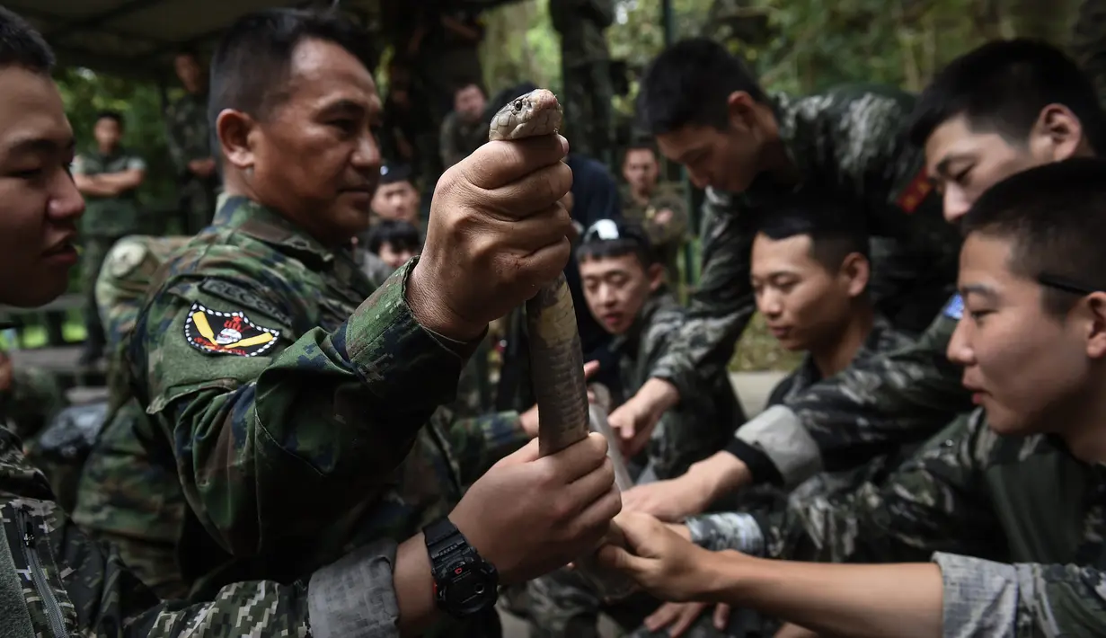 Marinir Thailand menunjukkan ular kobra yang digunakan saat latihan gabungan Cobra Gold antara militer AS dan Thailand di Chonburi, Thailand (19/2). Dalam latihan ini mereka berlatih bertahan hidup saat berada di hutan. (AFP Photo/Lilian Suwanrumpha)