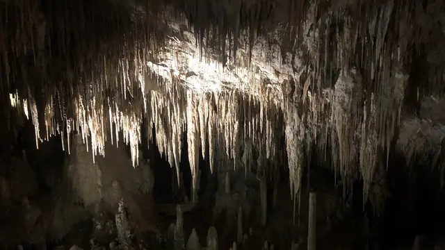 Gua Mammoth di Margaret River, Australia Barat Daya