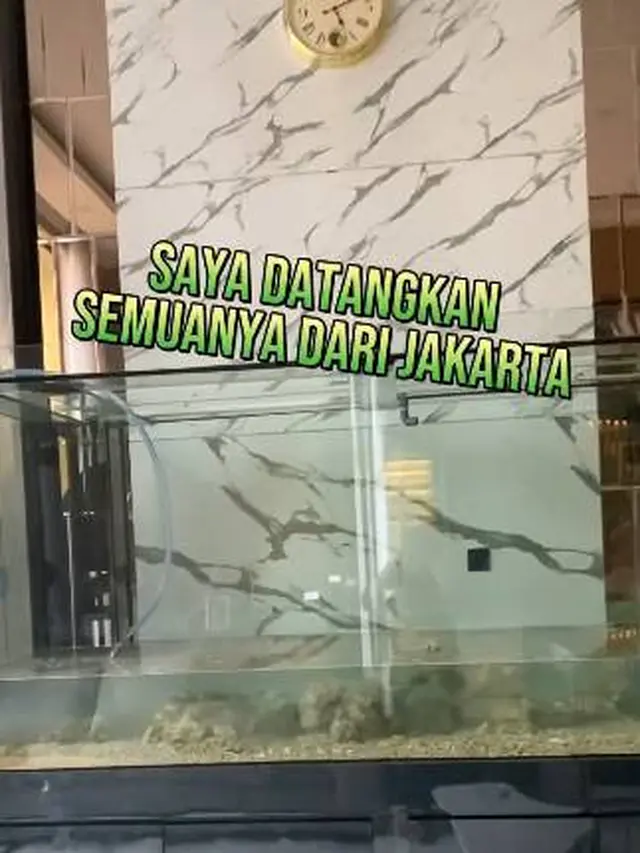 Dikecam Netizen, Ini 6 Potret dr. Richard Lee yang Pelihara Hiu