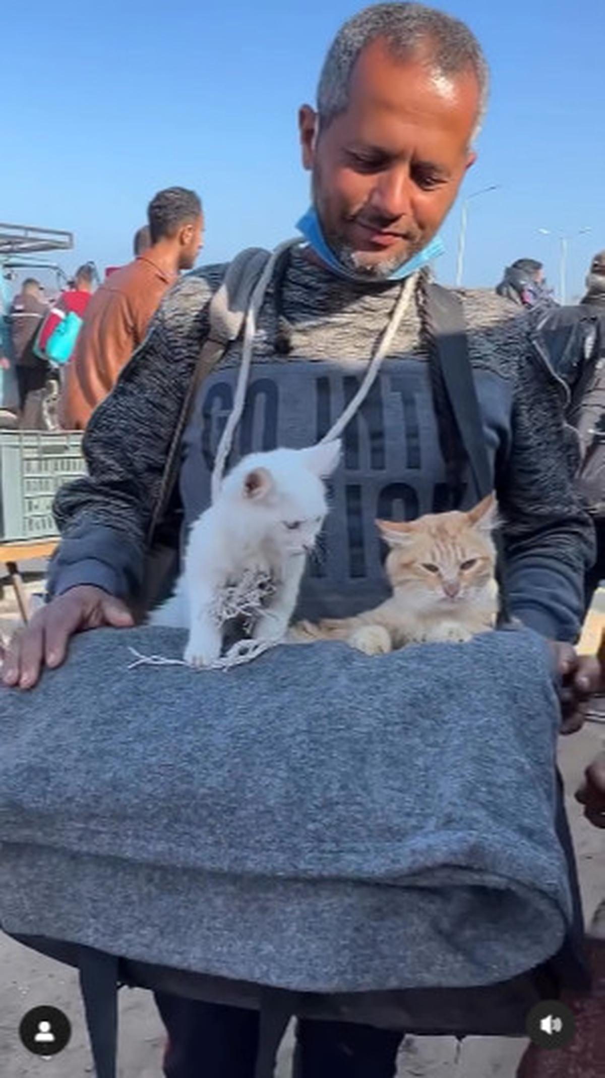 Potret Warga Gaza Palestina Pulang Bersama Kucing Mereka Berjalan Kaki di Tengah Puing Bangunan