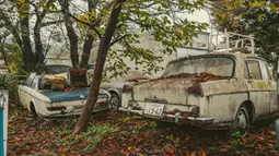 BMW 3.0 CS nan eksotis pun ada disini. (Source: topgear.com)