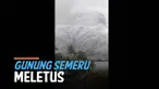 Masyarakat Lumajang dikejutkan dengan letusan gunung Semeru Sabtu (4/12) sore. Letusan memicu kepanikan warga setempat.