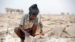 Seorang pria mengolah tanah untuk manjadi garam di tambang garam di Danakil Depression, Afar, Ethiopia (28/3). Para pekerja hanya menggunakan alat pencungkil dan kapak sederhana untuk memotong bongkahan garam. (AFP Photo/Zacharias Abubeker)