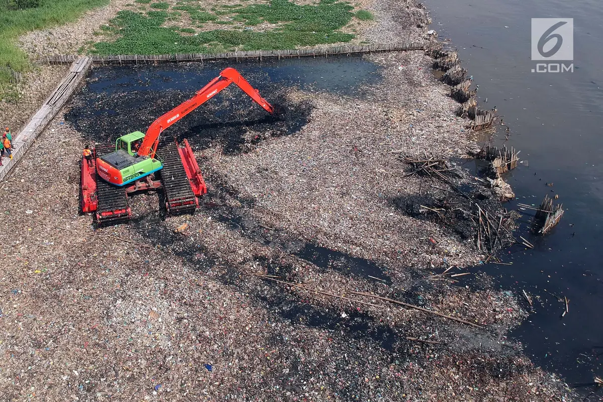 Bersihkan Tumpukan Sampah di Hutan Mangrove