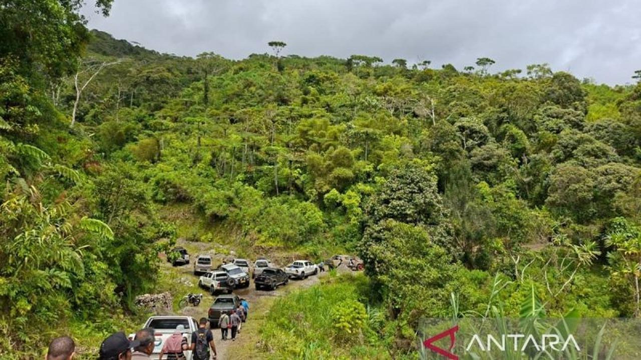 Fakta Menarik: Luas Hutan Berkurang 3 Juta Hektare, Papua Barat Perbarui Peta Kawasan Hutan dan Perairan