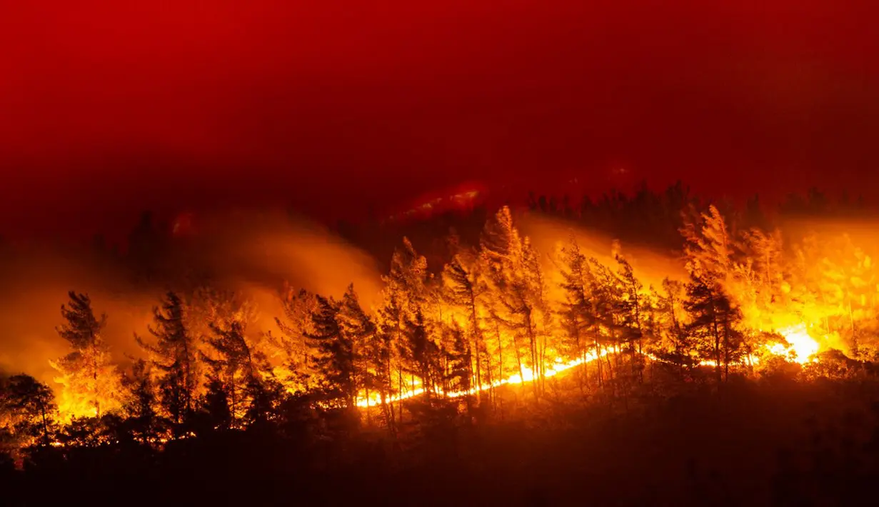 Pemandangan kobaran api dari kebakaran hutan di Desa Akcayaka, Milas, Provinsi Mugla, Turki, Jumat (6/8/2021). Warga ikut berjuang melawan kebakaran hutan paling mematikan dalam beberapa dekade di Turki. (Yasin AKGUL/AFP)