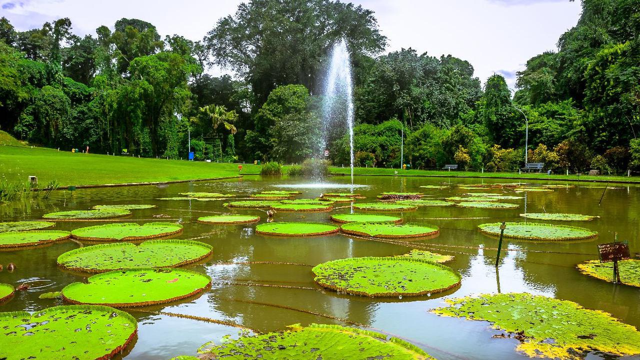 1. Kebun Raya Bogor