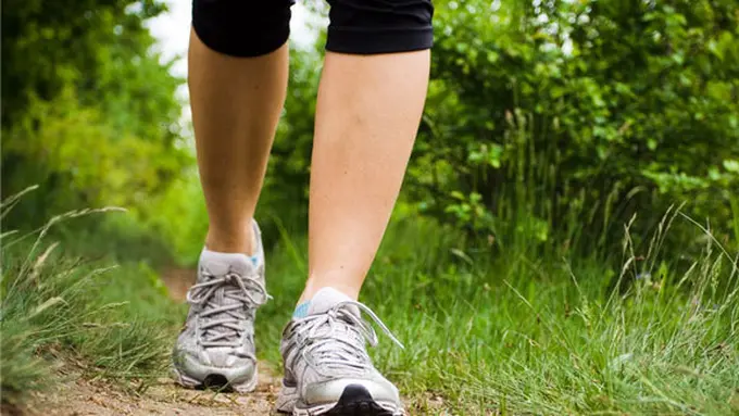 Copyright by Shutterstock.com