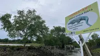 Kondisi lahan Hutan Mangrove di Desa Tanjung Rejo, Deli Serdang, Medan, Sumatera Utara. (Dok: Liputan6.com/dyah)