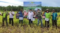 Jadi Sentra Kedelai, Tebo Kembangkan Korporasi Benih