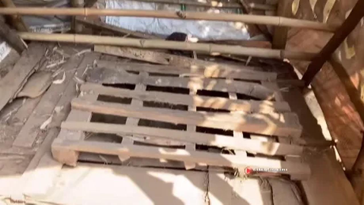 "Jadi di bawah musala ini ternyata ada sebuah ruangan seperti istana bawah tanah," terang sang pemilik video.