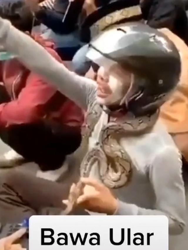 Mahasiswa Bawa Hewan Saat Demo Omnibus Law, Warganet : Itu Mau Demo Apa Ternak