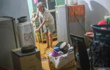 Tahukah Anda? Begini Siasat Efektif Membersihkan Rumah Pasca Banjir dari Kuman Penyakit