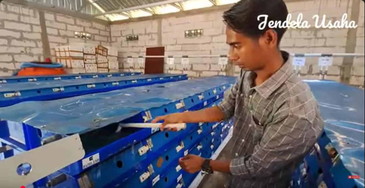 Dulu Kerja di Kantor Pajak, Pria Ini Sukses Usaha Kepiting di Kampung Halaman