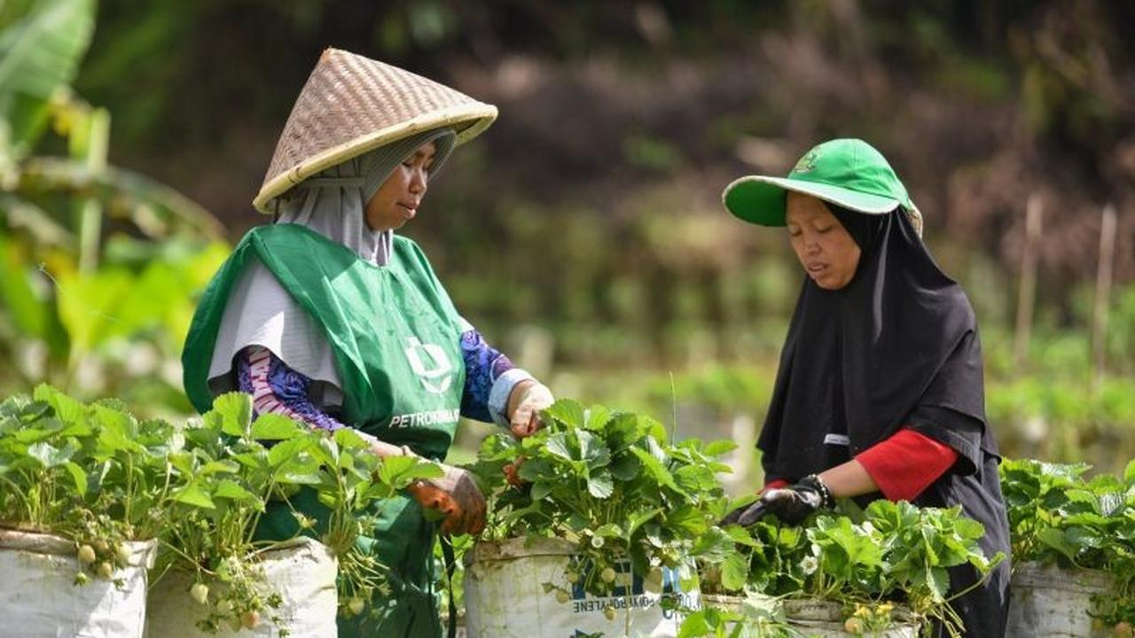 BRIN Dorong Peran Komunitas Pemulihan Pascabencana, Percepat Transformasi Berkelanjutan
