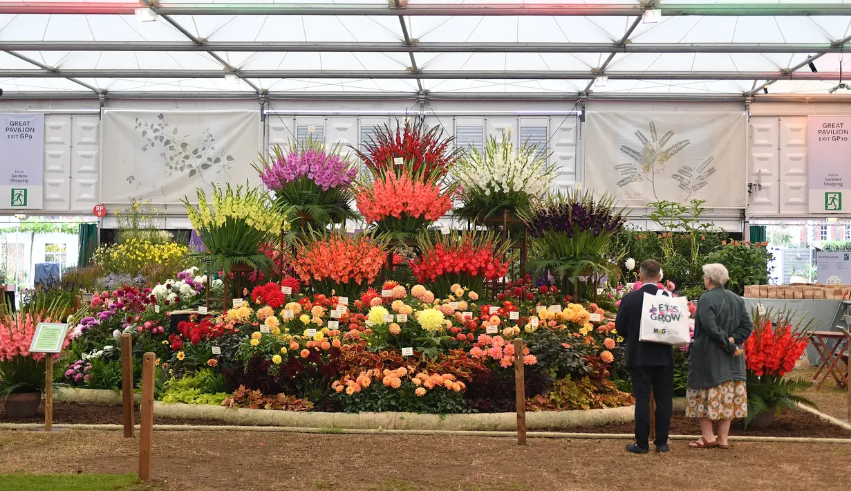 Orang-orang melihat pajangan bunga selama RHS Chelsea Flower Show 2021 di London pada Senin (20/9/2021). Pertunjukan bunga Chelsea sempat ditunda dari tanggal musim semi biasanya karena pembatasan penguncian di tengah penyebaran pandemi COVID-19. (JUSTIN TALLIS/AFP)
