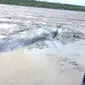 Warga Sungai Kong di Kabupaten Ogan Komering Ilir Sumsel menemukan ikan paus sepanjang 7 meter yang terdampar di tepian sungai (Dok. Humas Pemkab Ogan Komering Ilir / Nefri Inge)