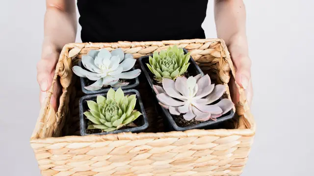 Zero Waste! Intip 7 Rekomendasi Hampers Lebaran yang Ramah Lingkungan - 6