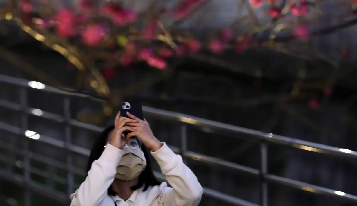 Pengunjung mengambil gambar bunga sakura pada malam hari di Taipei, Taiwan, Senin (27/2/2023). Sepanjang bulan ini, sejumlah wilayah di Taiwan menjadi jauh lebih cantik berkat hiasan warna-warna pastel dari bunga sakura. (AP Photo/Chiang Ying-ying)