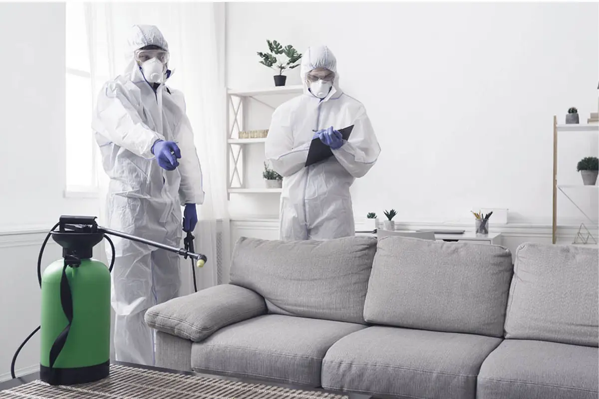 Artotel Clean