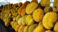 Festival Durian Sinapeul 2017 yang digagas oleh Pemerintah Kecamatan Sindangwangi, Kabupaten Majalengka, Jawa Barat. Bukan hanya Durian, pesona Majalengka juga akan tersaji di acara yang dijamin seru ini.