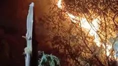 Gunung Sumbing Kebakaran, 71 Pendaki Dievakuasi