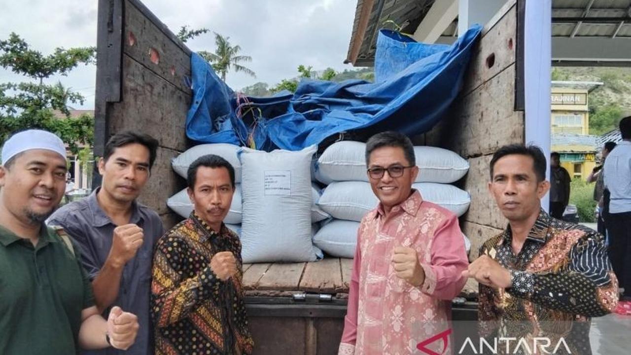 Fakta Unik Cengkeh Lombok Utara: Berhasil Tembus Pasar Dubai, NTB Genjot Ekspor Komoditas Unggulan
