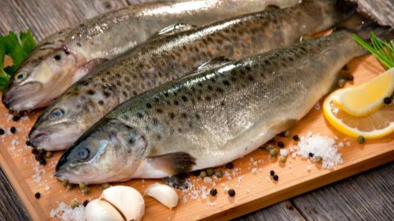 Ikan yang Perlu Diwaspadai Mengandung Merkuri