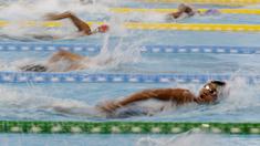 Atlet renang saat berlaga pada Jakarta Open 2019 di Stadion Akuatik, Jakarta, Kamis (26/9). Ajang ini juga sebagai seleksi akhir tim Indonesia untuk gelaran SEA Games 2019 dan Pra PON 2020 di Papua. (Bola.com/M Iqbal Ichsan)