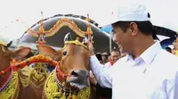Kementan Siapkan Asuransi untuk Peternak Sapi di Sumatera Utara