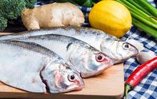7 Tips Memilih Ikan Segar di Pasar untuk Pemula, Dijamin Ampuh!