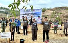 Kalsel Pulihkan Lahan Kritis 250 Hektare Melalui Program RBP REDD+ GCF