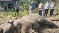 Bangkai Anak Gajah di TN Tesso Nilo Bongkar Borok Pemilikan Lahan Ilegal di Kawasan Konservasi