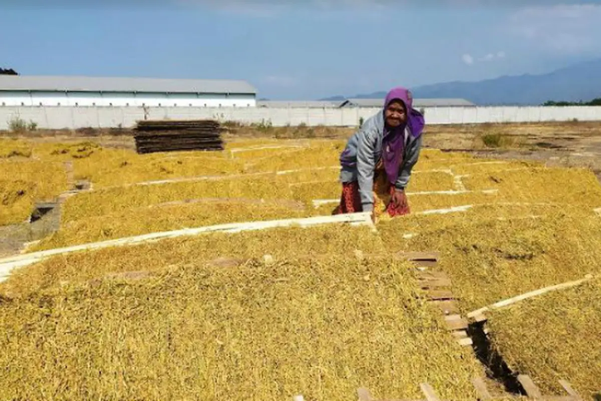 (Foto: Liputan6.com/Dian Kurniawan)