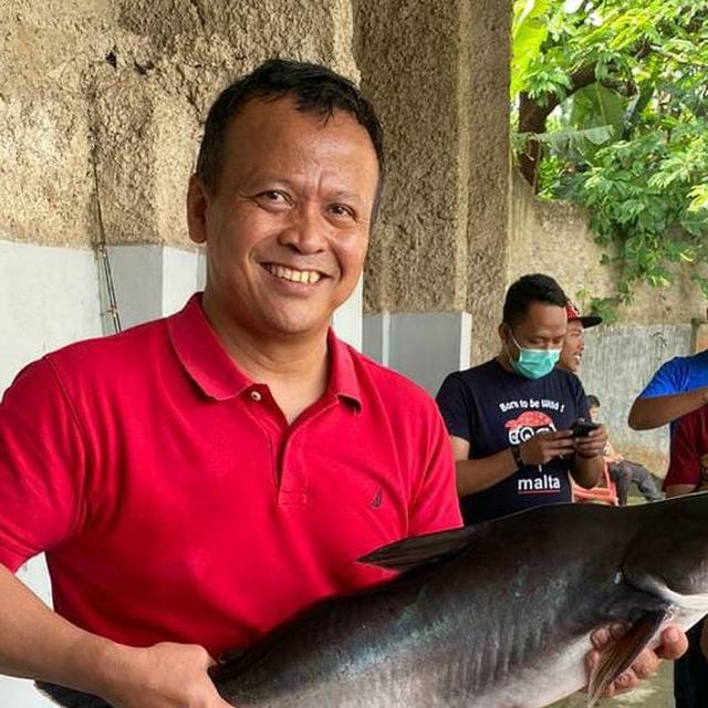 Ikan Dori Adalah Ikan Patin Ini Kata Menteri Kelautan News Liputan6 Com