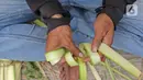 Pedagang menyelesaikan pembuatan kulit ketupat di kawasan Cibubur, Jakarta, Rabu (30/7/2020). Pedagang musiman menjelang Idul Adha tersebut menjual kulit ketupat dengan harga Rp 10 ribu, sedangkan ketupat yang siap untuk dihidangkan seharga Rp 30 ribu. (Liputan6.com/Herman Zakharia)