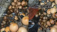 Viral Wanita Ini Hanya Bisa Pasrah Melihat 1.200 Telur Pecah Gara-Gara Anak Main Petasan (Sumber: TikTok/@elfarizkii)