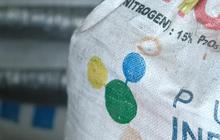BUMN Pupuk Punya Program Anyar Berdayakan Masyarakat Difabel Sekitar Industri, Seperti Apa?