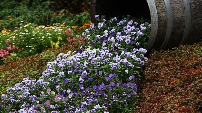  Pot  Bunga  Tumpah Inspirasi Desain Taman  Rumah Cantik Dan 