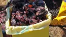 Foto pada 30 Maret 2019, sampah plastik yang ditemukan di dalam perut paus di Pulau Sardinia, Italia. Perut paus sperma betina itu berisi  kantong sampah, jaring dan tali pancing, bahkan kantong cairan sabun cuci yang masih dapat diidentifikasi merek dan kode barangnya. (SEAME Sardinia Onlus via AP)