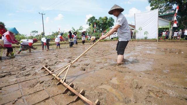 Calon gubernur Jawa Barat Tubagus Hasanuddin turun ke sawah menanam padi di Cijeunjing, Kabupaten Ciamis, Senin (2/4/2018) / Tim Media